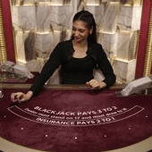 Blackjack VIP 15 thumbnail